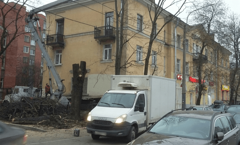 Вырубка деревьев по адресу Енотаевская, 16