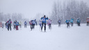 Архангельский филиал Россельхозбанка принял участие в соревнованиях по лыжным гонкам