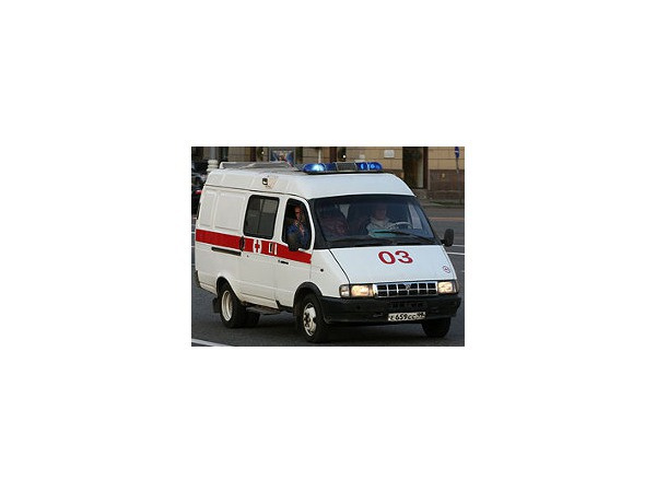 dni.ru