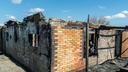 Шесть лошадей в ботсаду сожгли: официальная причина пожара