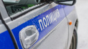 В Самарской области полицейские поймали четырех «ночных бабочек»