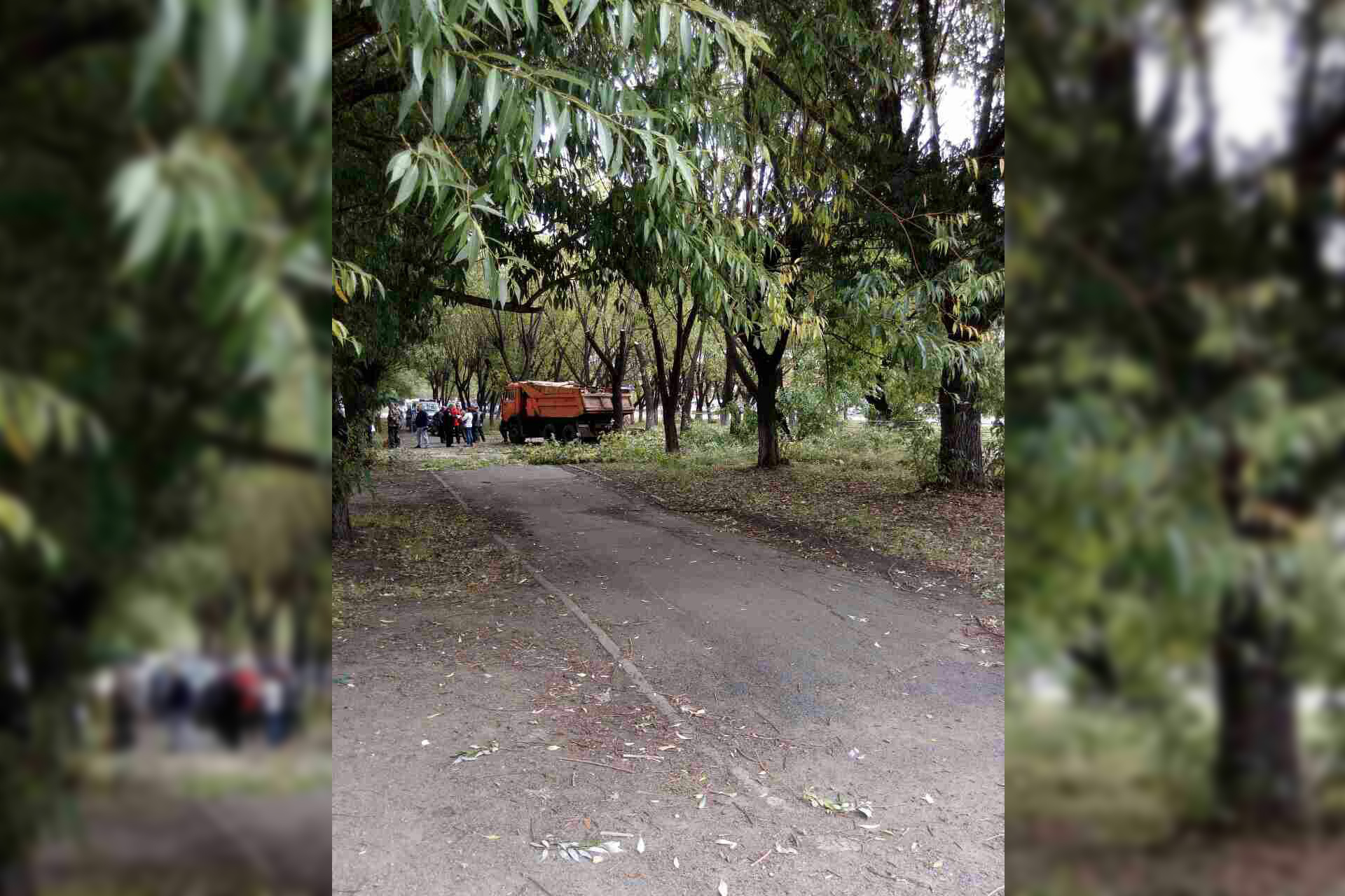 Сообщение о рубке деревьев пришло в редакцию от местных жителей Сообщение о рубке деревьев пришло в редакцию от местных жителей