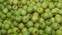 19,5 тонн яблок уничтожили в Ростове