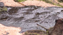 Разлив нефтепродуктов произошел в Северодвинске у Ягринского моста