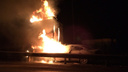 Ночное ДТП под Самарой:  иномарка и грузовая «газель» загорелись после столкновения