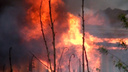 В Ярославской области мужчина заживо сгорел, празднуя юбилей