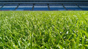 На стадионе «Самара Арена» укрепляют газон