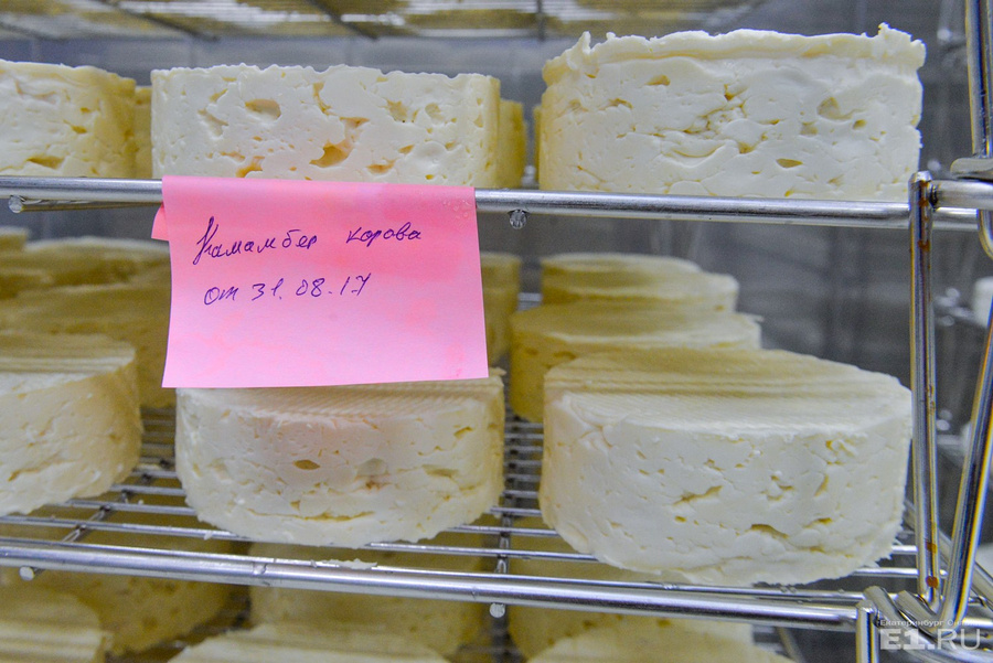 В магазине продается несколько видов сыра. Верхнепышминский молочный завод УГМК-Агро. Сыр УГМК Агро. Сыр УГМК. Сыр верхняя Пышма.