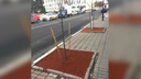 Красные опять победили: в Ярославле деревья на тротуарах засыпали кирпичом