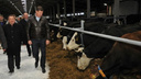 В Ярославской области открыли большую молочную ферму