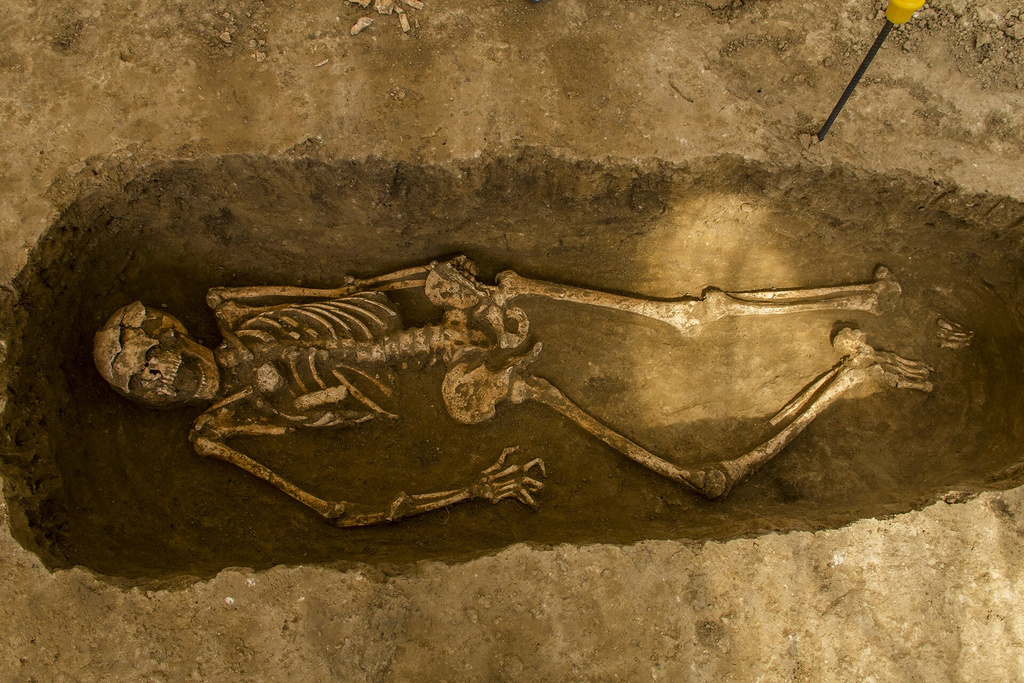 Во время раскопок на Станиславского нашли множество останков древних людей