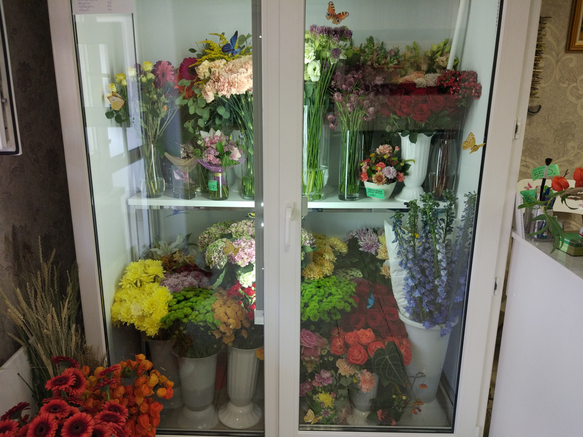 Флористы забили холодильники свежими цветами к 1 сентября