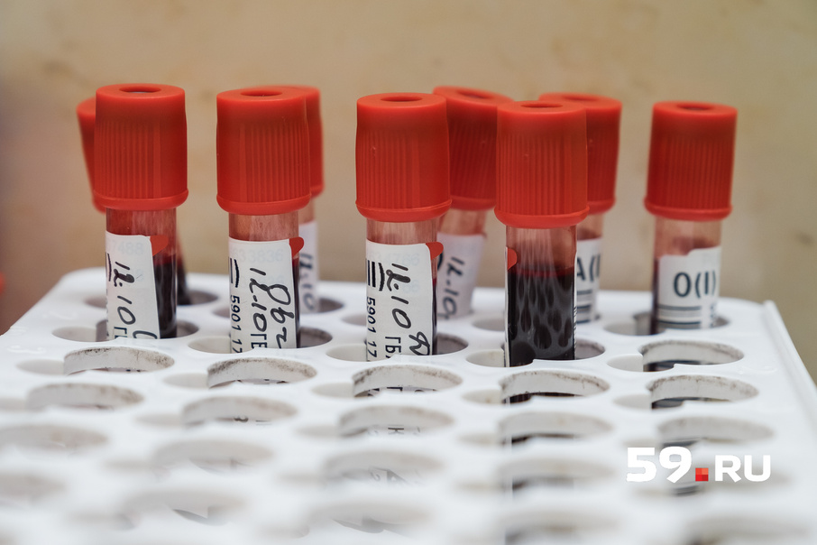 После первой донации нужно через полгода сдать анализ крови — так снижается риск попадания инфекции в донорский материал