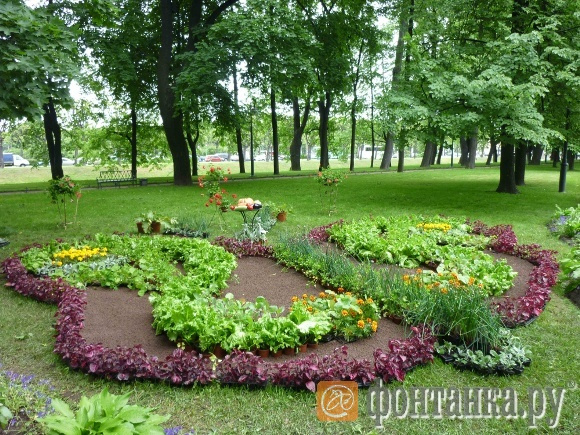 "Кухонный садик". ООО "РОСЭКО" и Аграрный университет (СПб)