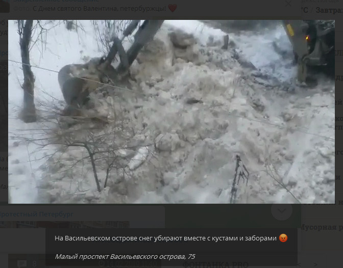 Скриншот из телеграм-канала «Протестный Петербург»