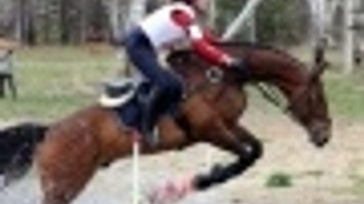 «Рифей» растит олимпийцев по конному спорту
