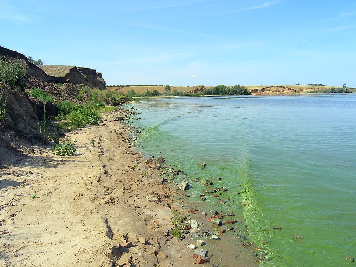 Волгоградское водохранилище фото