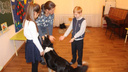 Детей-аутистов в Архангельске научат навыкам общения с помощью собак
