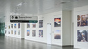 Воздушные змеи, коза и Самарская Лука: в аэропорту Курумоч открыли выставку местных фотографов