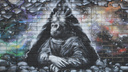 «Камбала — основа жизни»: послания, которые оставили архангелогородцам уличные художники