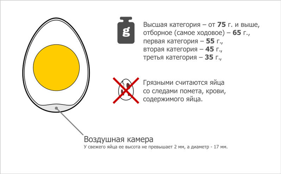 Как определить свежесть яиц в домашних. Определить свежесть яиц. Как проверить срок годности яиц. Проверка яиц на годность. Как определить яйцо.