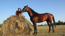 Ростовчанка стала владелицей четырех лошадей