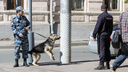 В Волгограде открылся музей полицейских собак