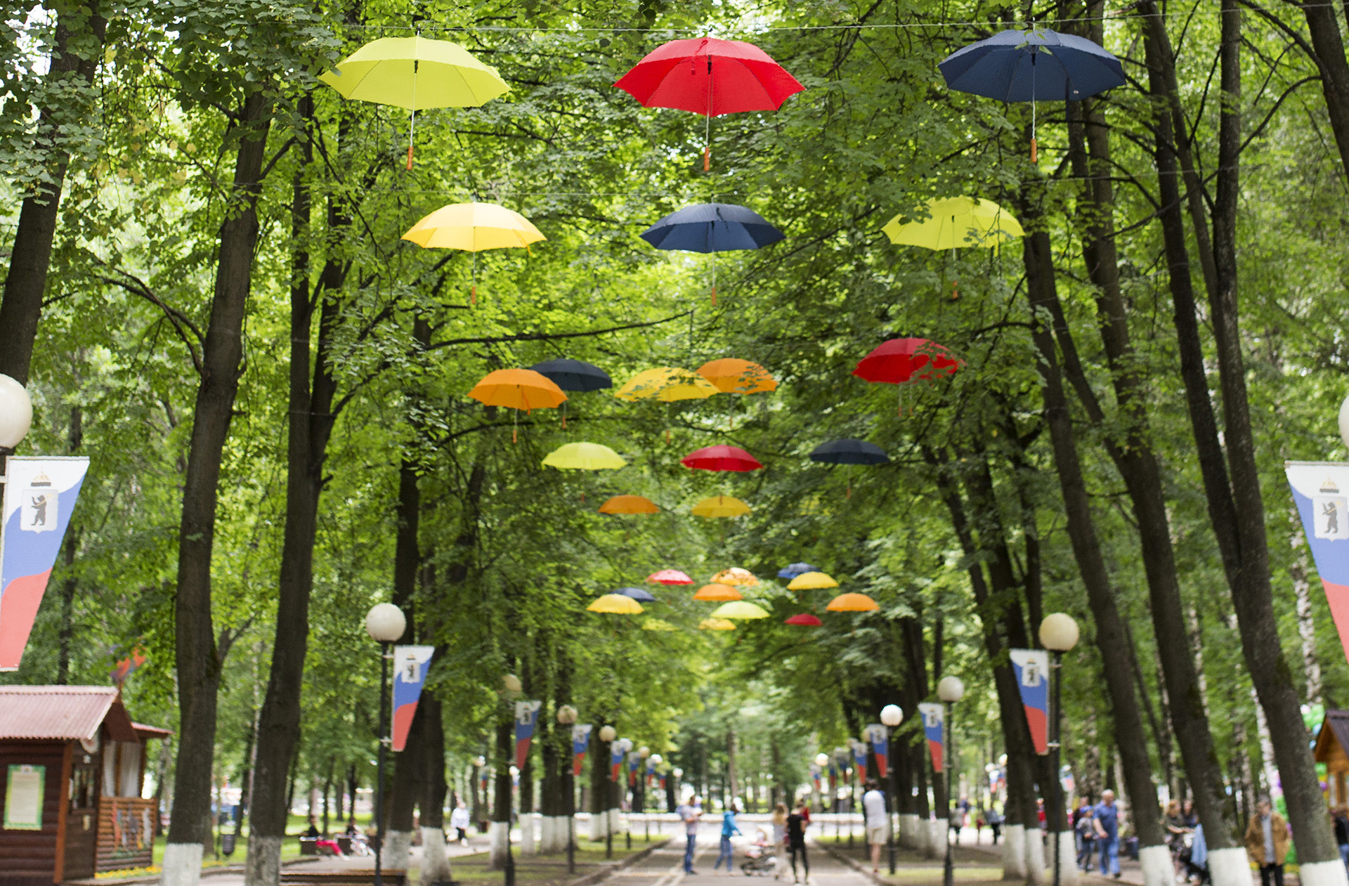 «Слепцовские» зонтики ярославцам понравились больше, чем «урлашовские»