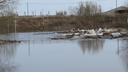 В Волжском районе затопило четыре приусадебных участка