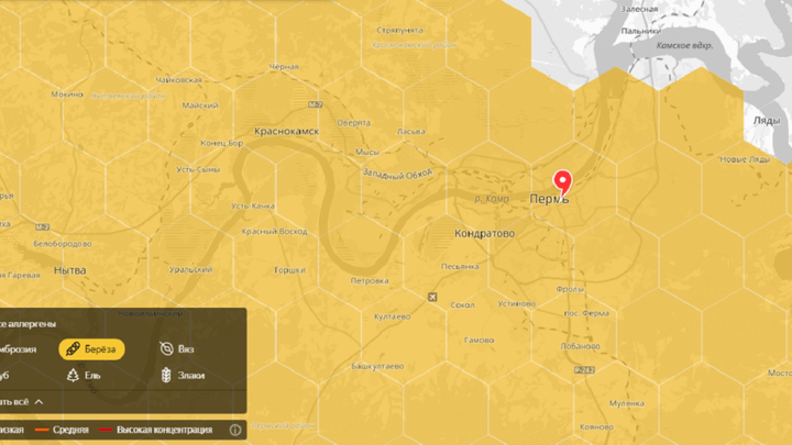 Пригодится аллергикам: «Яндекс» создал карту пыльцы для Перми
