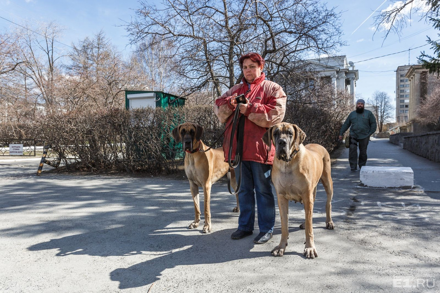 Вот такие жители Втузгородка нам встретились рядом с университетом. Вот такие жители Втузгородка нам встретились рядом с университетом.