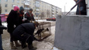 В Ярославле спасли собаку, застрявшую в подвальной решётке