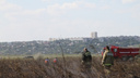 Ростов занял первое место в области по площади возгораний сухой травы