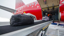 Челябинскую грузовую компанию оштрафовали за потерю в аэропорту африканского пса