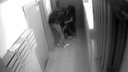 В Ярославле вытащили застрявшую в дверях лифта собаку: видео спасения