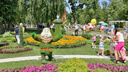 Фестиваль цветов в Самаре пройдет 17 июня