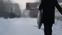 Как замерзал Новосибирск: 15 кадров из города, куда пришли аномальные морозы