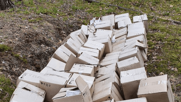 Больницу в Дзержинске оштрафовали за выброшенные в лесу коробки с вакцинами