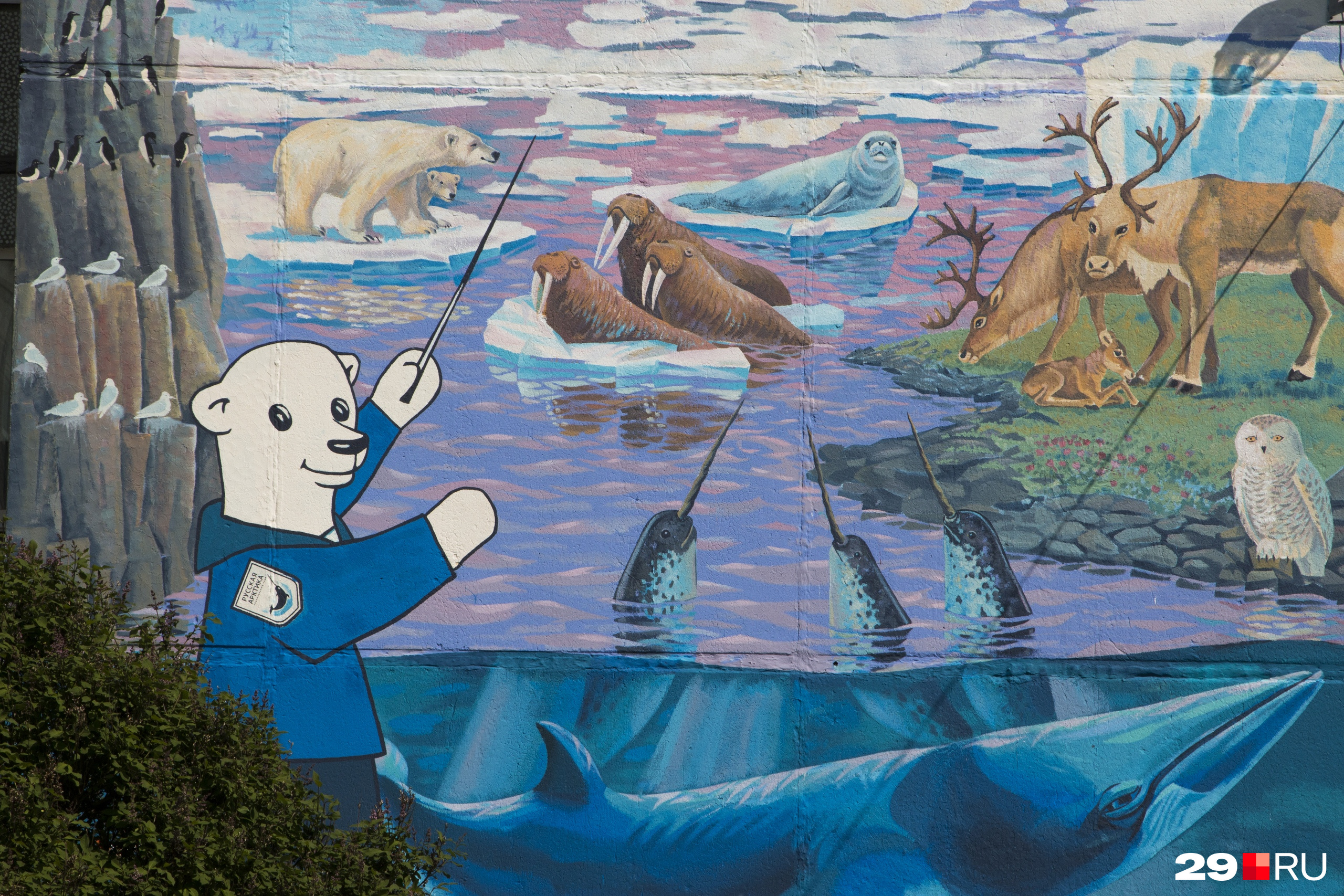 Медвежонок Михайлушка — герой учебника «Арктическая азбука», созданного нацпарком