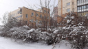 В Новосибирске целый день идет снег — посмотрите, как это красиво (онлайн-репортаж с улиц)