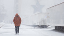 Быть метели: жителей Волгограда и области предупредили о снегопадах и штормовом ветре