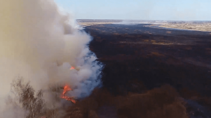 Пожарная тревога: в Нижегородской области в 20 раз увеличилось количество возгораний травы
