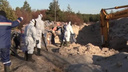 Свалку химических отходов в Володарском районе устранят к следующему четвергу