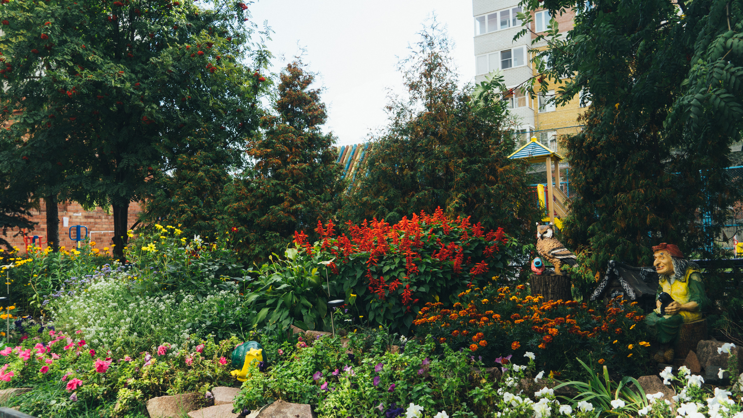 «Больше удовольствия, чем забот»: садовод назвала неприхотливые и яркие цветы для клумбы у дома