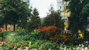 «Больше удовольствия, чем забот»: садовод назвала неприхотливые и яркие цветы для клумбы у дома