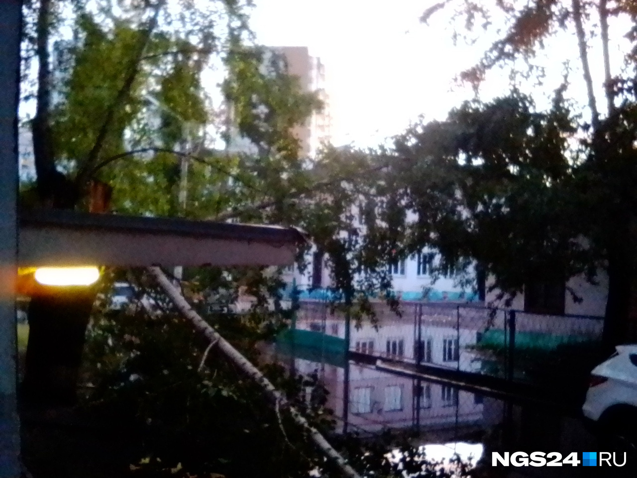 Ветер повалил дерево на Мичурина. По словам очевидцев, аварийная служба оттащила его от линий электропередач