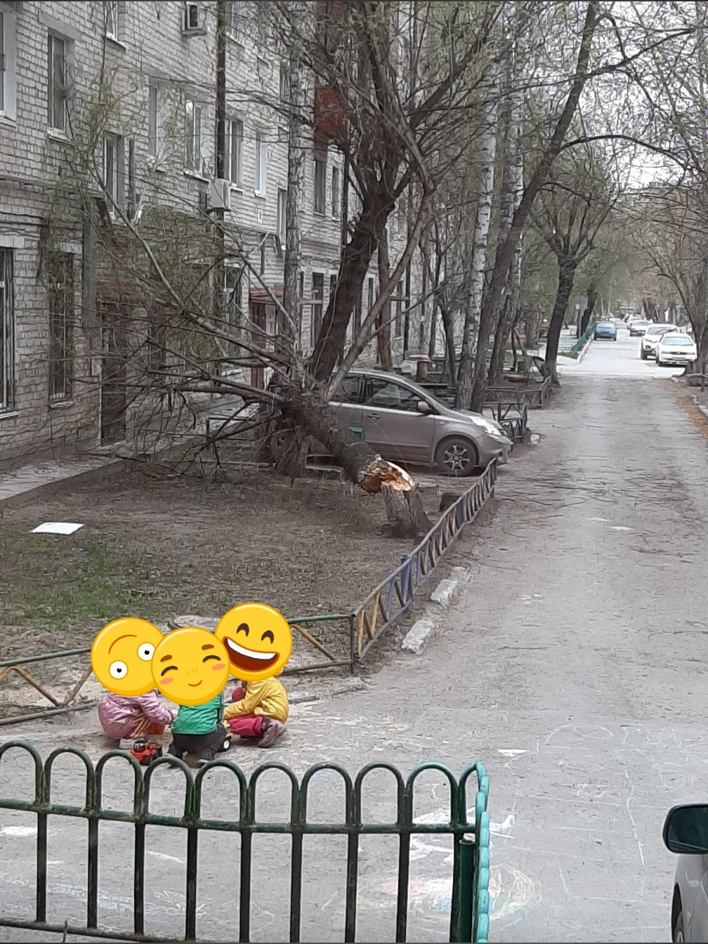 А в центре города пока последствия не такие уж и серьезные. Во дворе на улице Тульской ветер даже не смог разогнать детей по домам. Но сломал дерево А в центре города пока последствия не такие уж и серьезные. Во дворе на улице Тульской ветер даже не смог разогнать детей по домам. Но сломал дерево