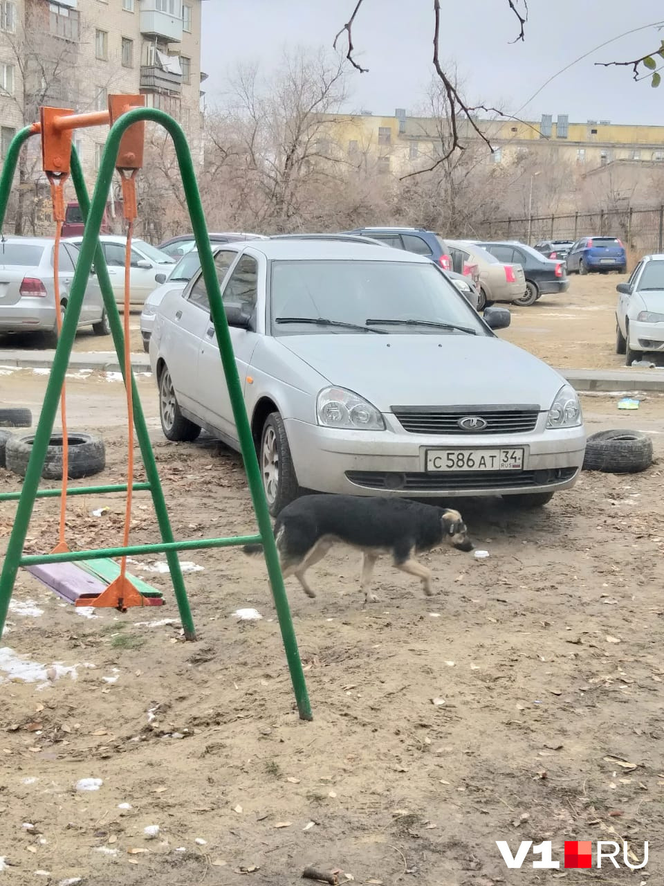 Спасибо, хоть не у качелей