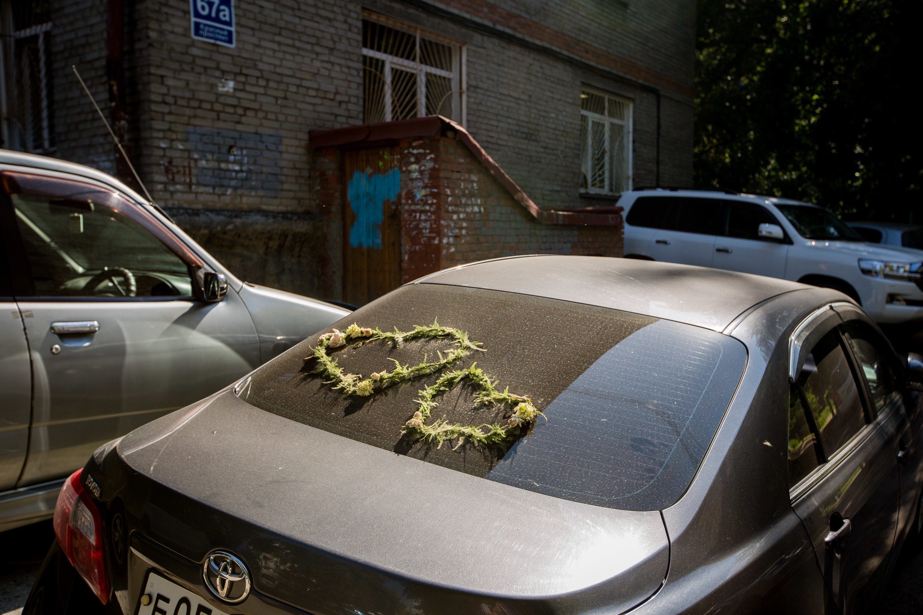 Обобрать до нитки. Самозанятые карикатура. Обобрать до нитки. Обобрать до нитки. Обобрать до нитки.