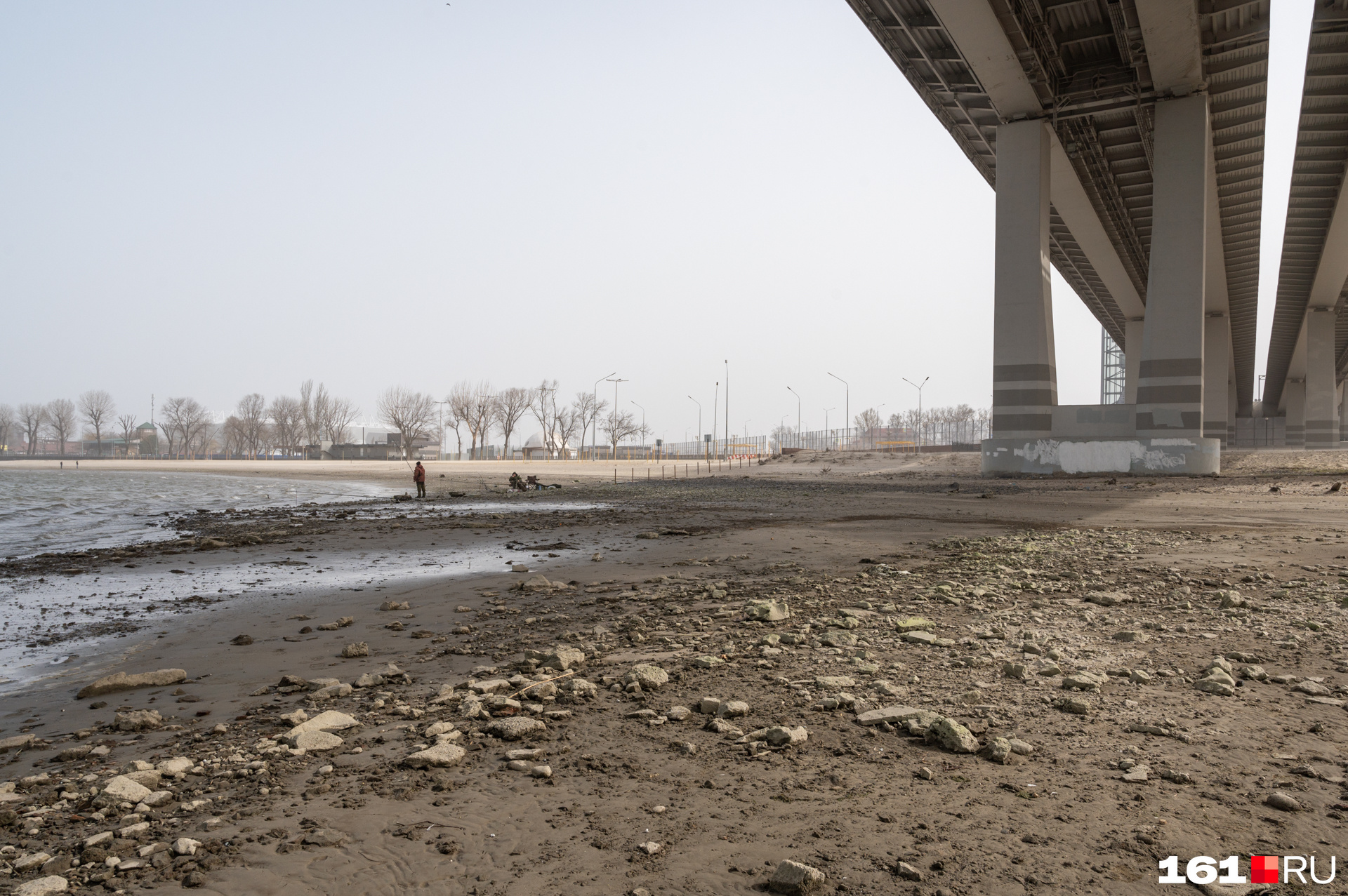 река дон обмелела